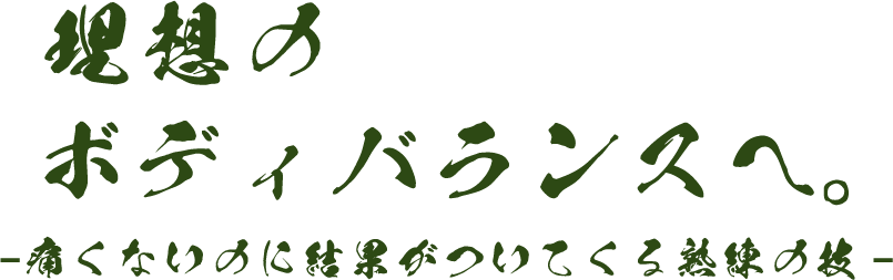 理想のボディバランスへ。-痛くないのに結果がついてくる熟練の技-