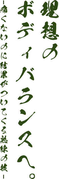 理想のボディバランスへ。-痛くないのに結果がついてくる熟練の技-